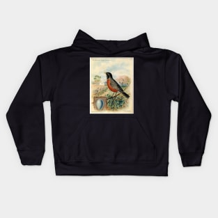 Red Robin, Vintage print, Circa 1800-1900 Kids Hoodie